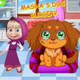 Misha Dog Surgery