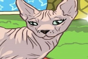 Sphynx Cat Girl Games